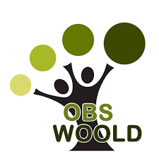 OBS-Woold.png